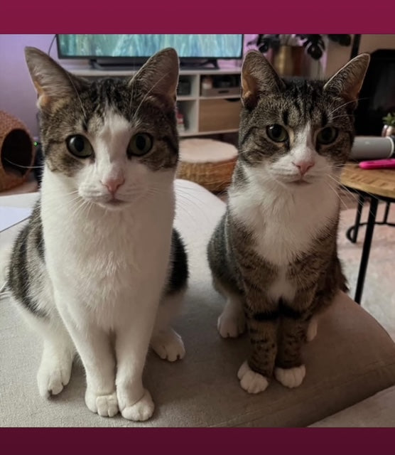 Kyra & Nacho