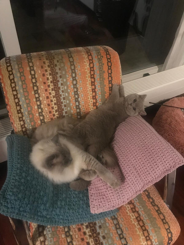 Mila & LouLou