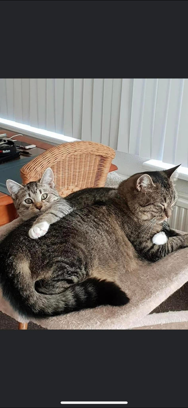 Riva & Zoë
