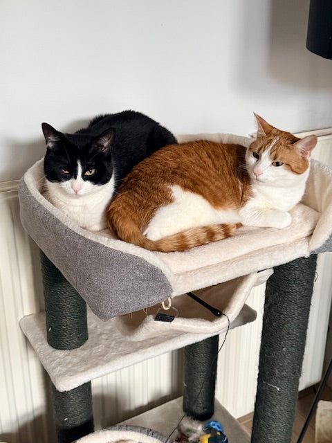 Maaike & Kruimel