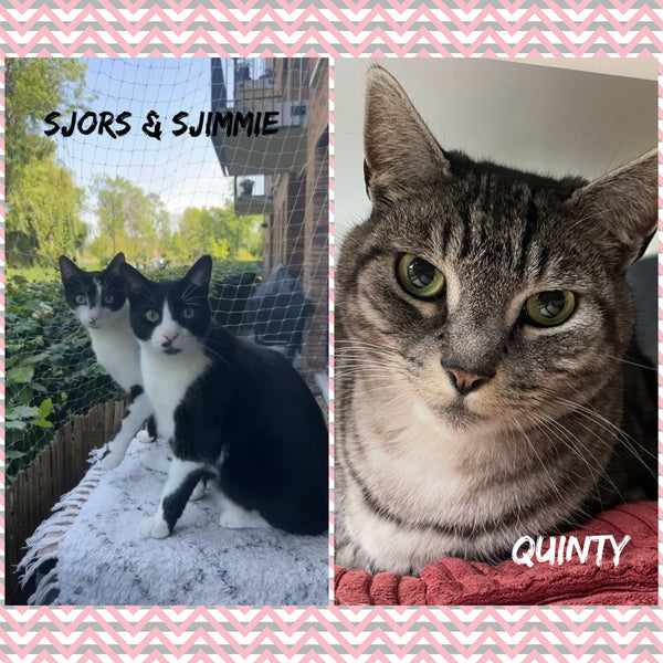 Sjors, Sjimmie & Quinty